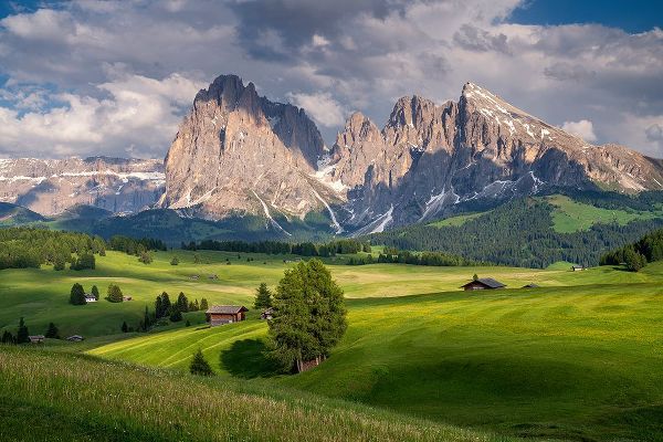 Jaynes Gallery 아티스트의 Europe-Italy-South Tirol-Alpine meadows with the Sasso Lungo and Sasso Piatto Mountains작품입니다.